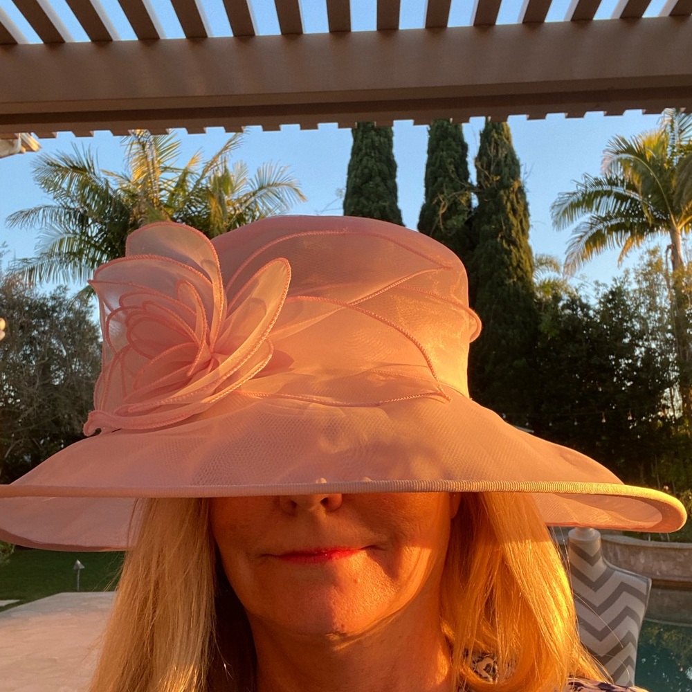 San Diego hat co. Brand w tags, beautiful pink sheer hat.  Ready for the races!